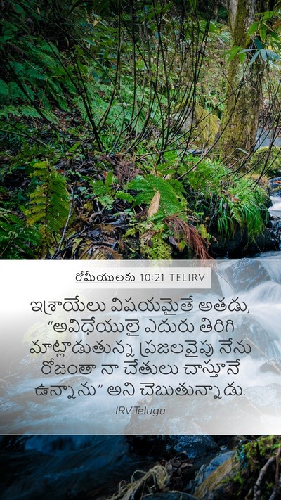 రోమీయులకు 10:21 TELIRV Bible Verse Image