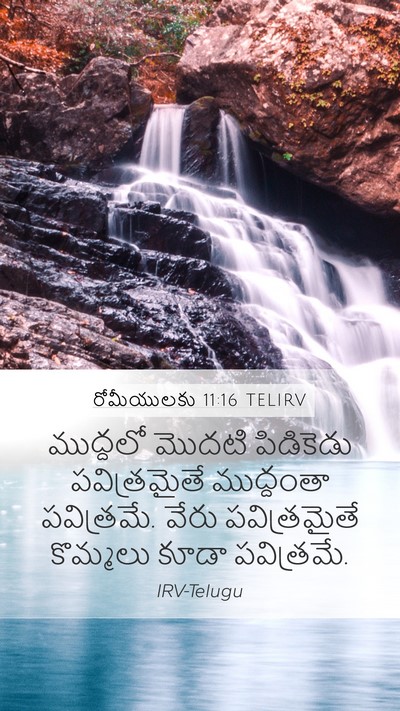 రోమీయులకు 11:16 TELIRV Bible Verse Image