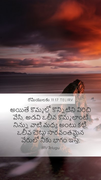 రోమీయులకు 11:17 TELIRV Bible Verse Image