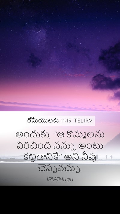 రోమీయులకు 11:19 TELIRV Bible Verse Image