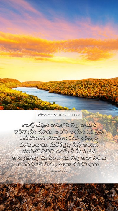 రోమీయులకు 11:22 TELIRV Bible Verse Image