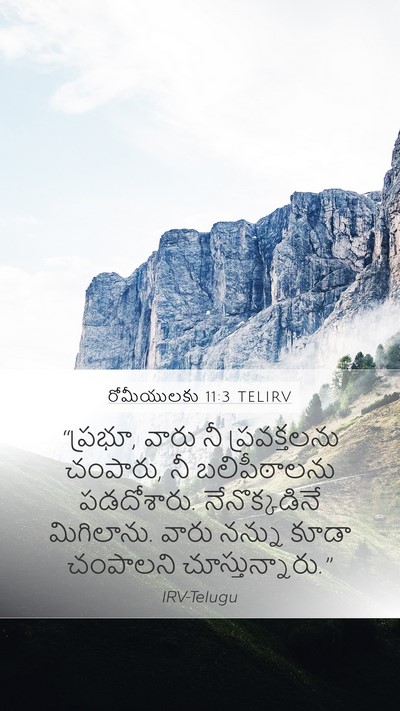రోమీయులకు 11:3 TELIRV Mobile Phone Wallpaper - “ప్రభూ, వారు నీ - Mobile Bible Verse Wallpaper
