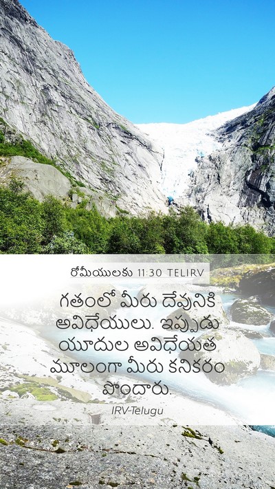రోమీయులకు 11:30 TELIRV Bible Verse Image