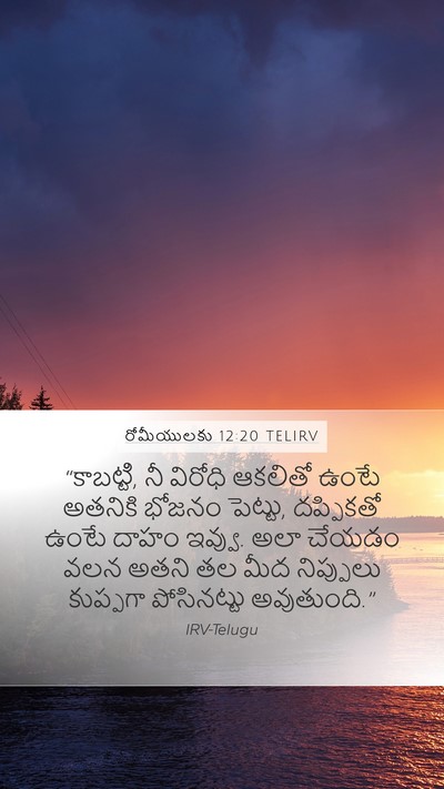 రోమీయులకు 12:20 TELIRV Bible Verse Image