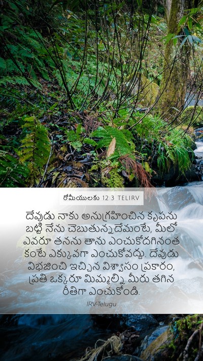రోమీయులకు 12:3 TELIRV Bible Verse Image