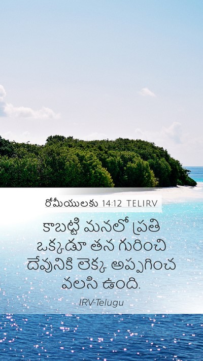 రోమీయులకు 14:12 TELIRV Bible Verse Image