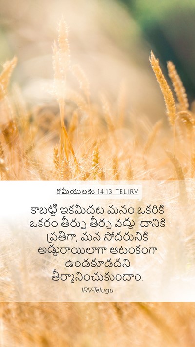 రోమీయులకు 14:13 TELIRV Bible Verse Image
