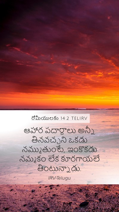 రోమీయులకు 14:2 TELIRV Bible Verse Image