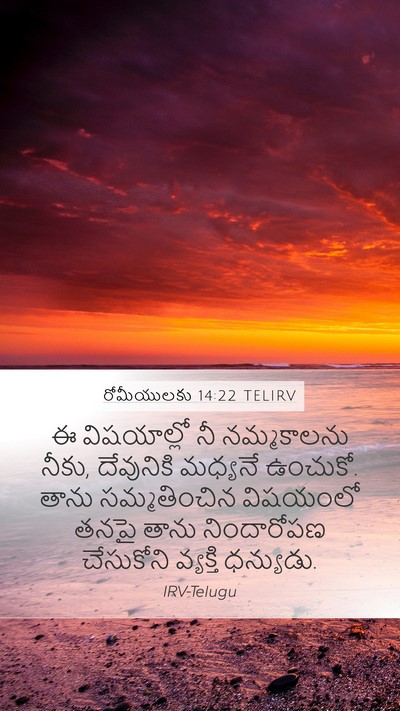 రోమీయులకు 14:22 TELIRV Bible Verse Image