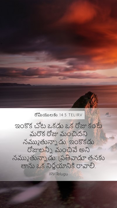 రోమీయులకు 14:5 TELIRV Bible Verse Image