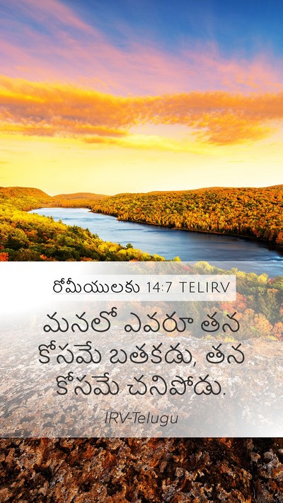 రోమీయులకు 14:7 TELIRV Bible Verse Image