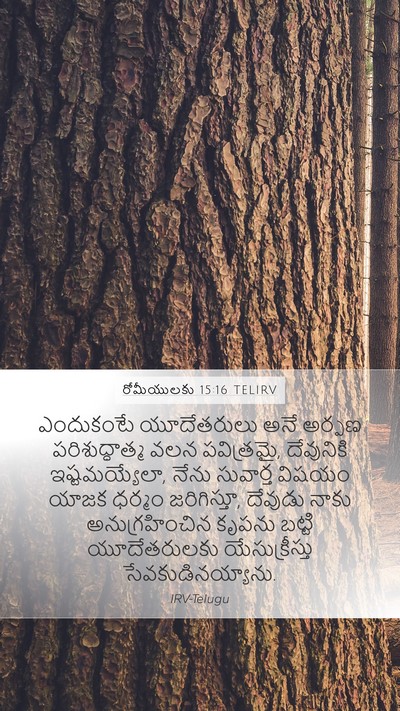రోమీయులకు 15:16 TELIRV Bible Verse Image