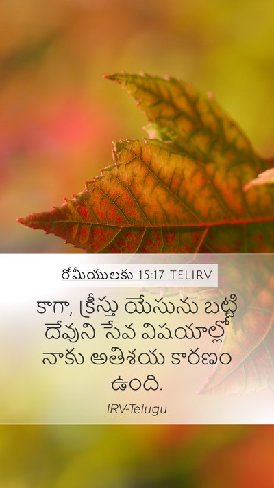 రోమీయులకు 15:17 TELIRV Bible Verse Image