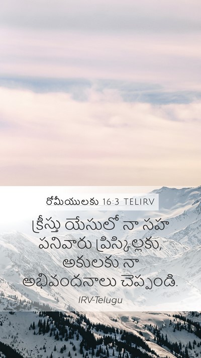రోమీయులకు 16:3 TELIRV Bible Verse Image