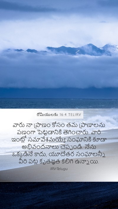 రోమీయులకు 16:4 TELIRV Bible Verse Image