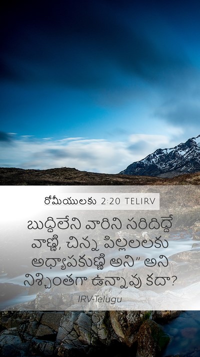 రోమీయులకు 2:20 TELIRV Bible Verse Image