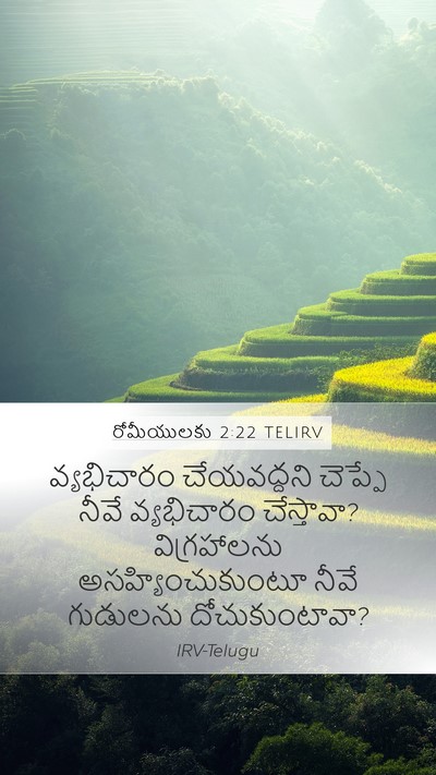 రోమీయులకు 2:22 TELIRV Bible Verse Image