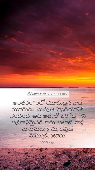 రోమీయులకు 2:29 TELIRV Bible Verse Image