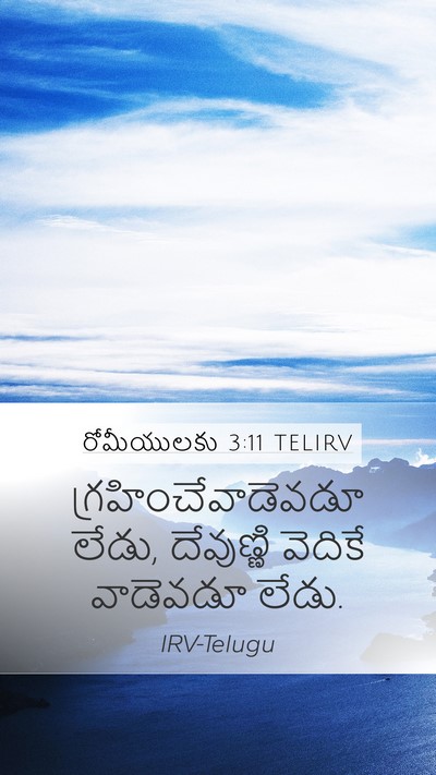 రోమీయులకు 3:11 TELIRV Bible Verse Image