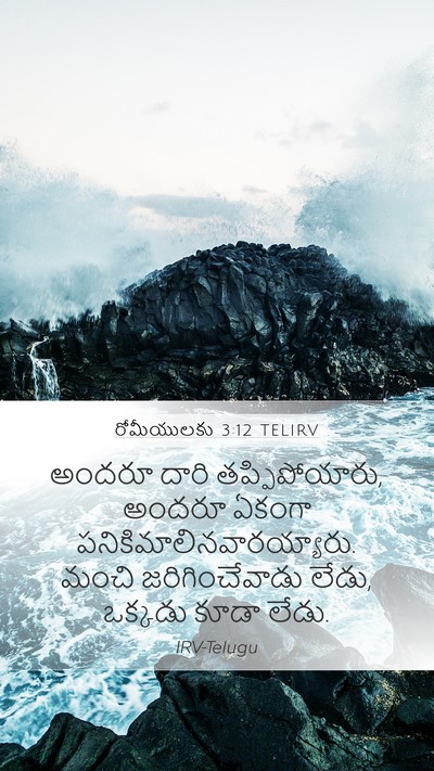 రోమీయులకు 3:12 TELIRV Bible Verse Image