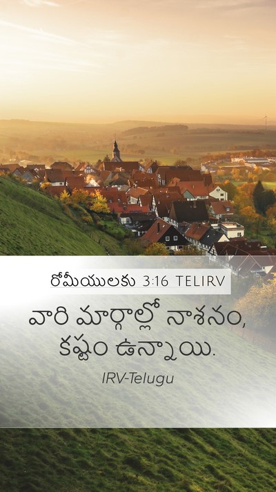 రోమీయులకు 3:16 TELIRV Bible Verse Image