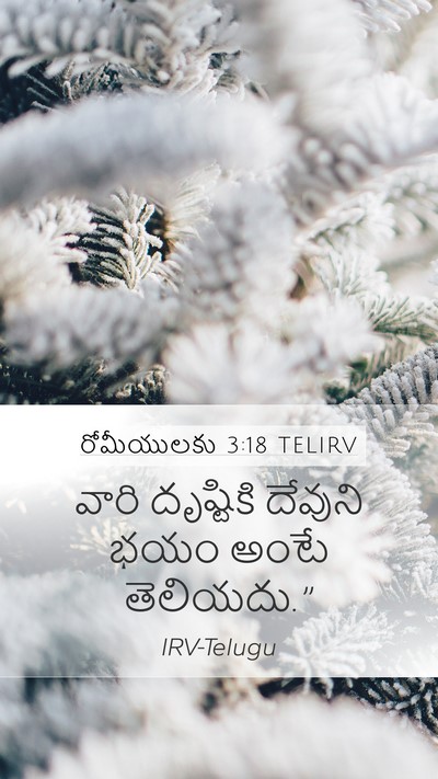 రోమీయులకు 3:18 TELIRV Bible Verse Image