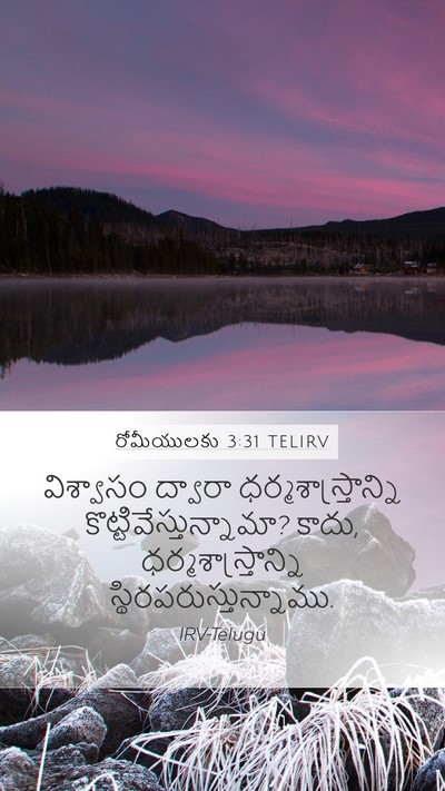 రోమీయులకు 3:31 TELIRV Bible Verse Image