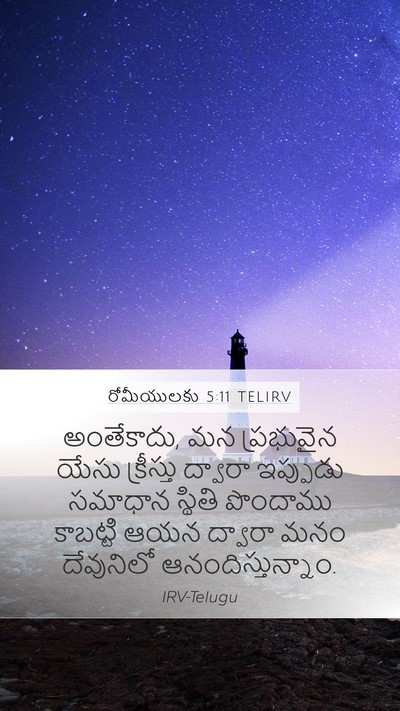 రోమీయులకు 5:11 TELIRV Bible Verse Image