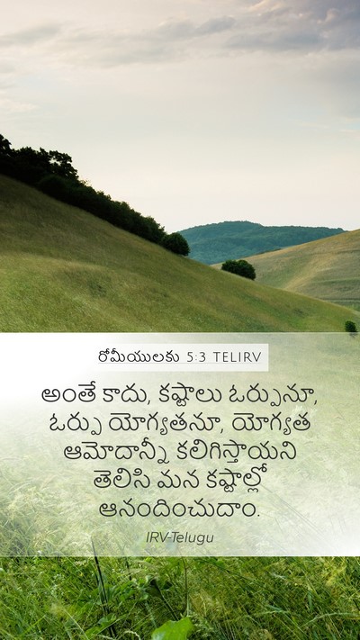 రోమీయులకు 5:3 TELIRV Bible Verse Image