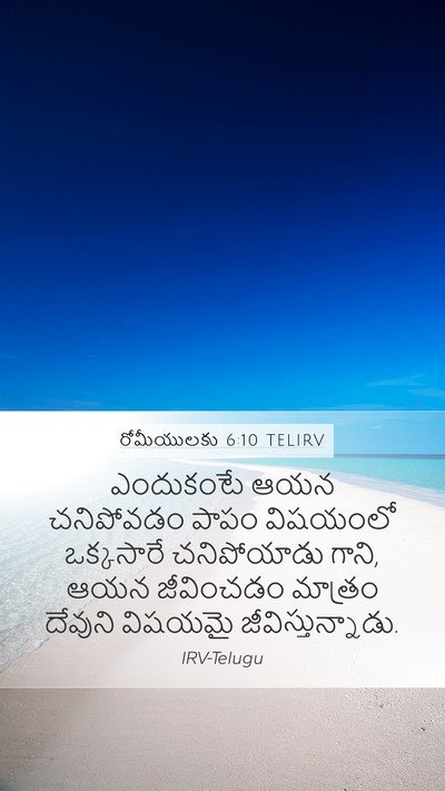 రోమీయులకు 6:10 TELIRV Mobile Phone Wallpaper - ఎందుకంటే ఆయన - Mobile Bible Verse Wallpaper