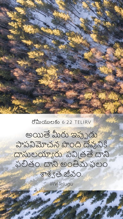 రోమీయులకు 6:22 TELIRV Bible Verse Image