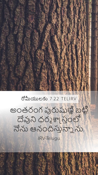 రోమీయులకు 7:22 TELIRV Bible Verse Image