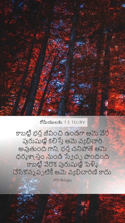 రోమీయులకు 7:3 TELIRV Bible Verse Image