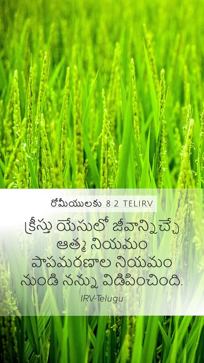 రోమీయులకు 8:2 TELIRV Bible Verse Image