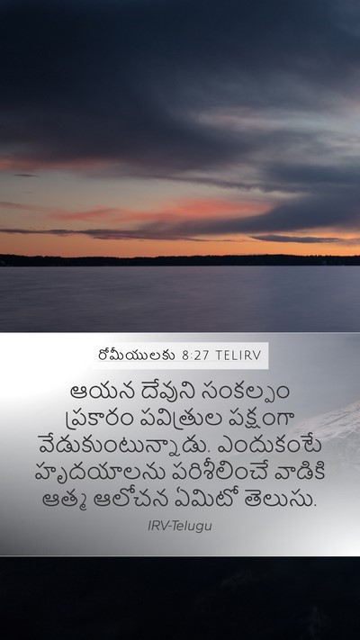 రోమీయులకు 8:27 TELIRV Mobile Phone Wallpaper - ఆయన దేవుని - Mobile Bible Verse Wallpaper