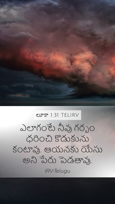 లూకా 1:31 TELIRV Bible Verse Image
