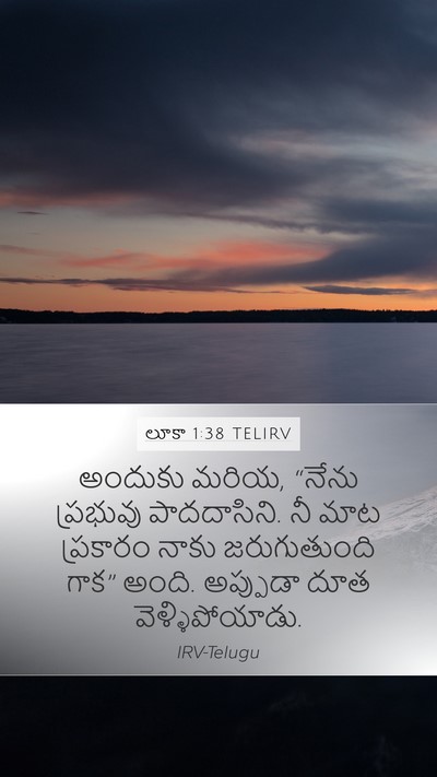 లూకా 1:38 TELIRV Mobile Phone Wallpaper - అందుకు మరియ, “నేను - Mobile Bible Verse Wallpaper