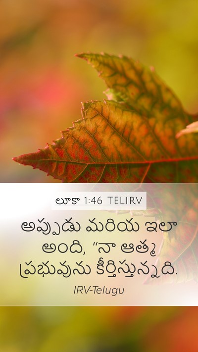 లూకా 1:46 TELIRV Bible Verse Image