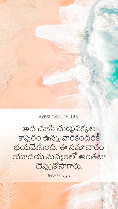 లూకా 1:65 TELIRV Bible Verse Image