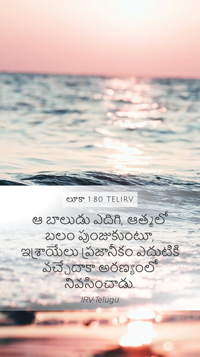 లూకా 1:80 TELIRV Bible Verse Image