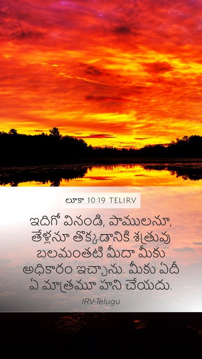 లూకా 10:19 TELIRV Bible Verse Image