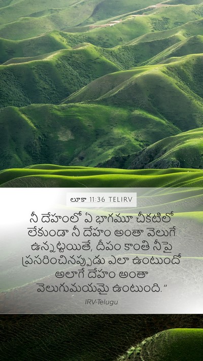 లూకా 11:36 TELIRV Mobile Phone Wallpaper - నీ దేహంలో ఏ భాగమూ - Mobile Bible Verse Wallpaper