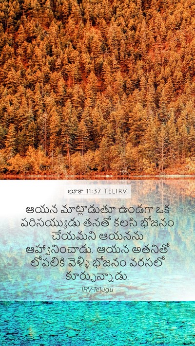 లూకా 11:37 TELIRV Bible Verse Image