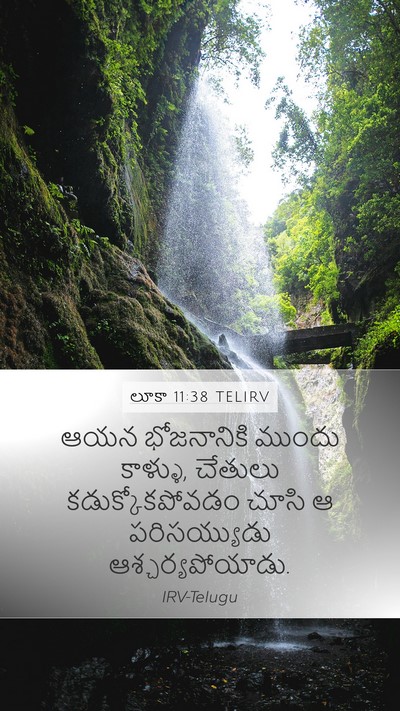 లూకా 11:38 TELIRV Bible Verse Image