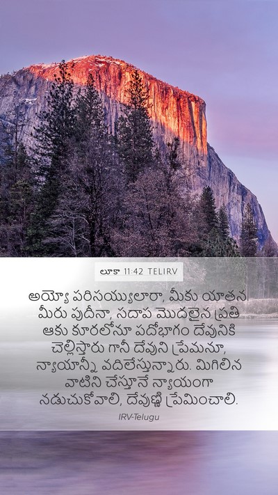 లూకా 11:42 TELIRV Bible Verse Image