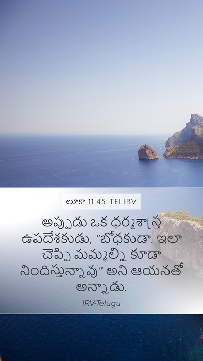 లూకా 11:45 TELIRV Bible Verse Image