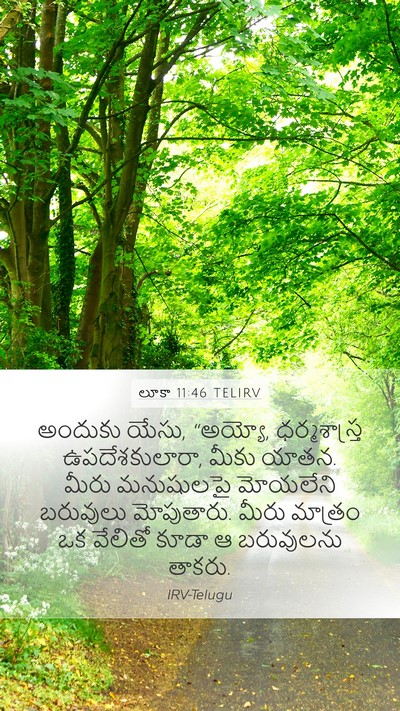 లూకా 11:46 TELIRV Bible Verse Image