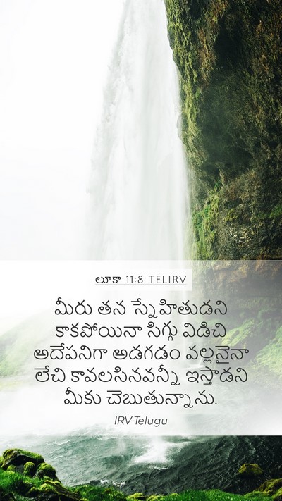 లూకా 11:8 TELIRV Bible Verse Image