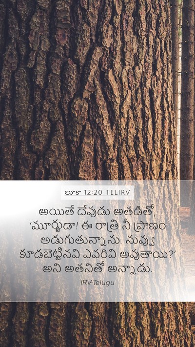 లూకా 12:20 TELIRV Bible Verse Image