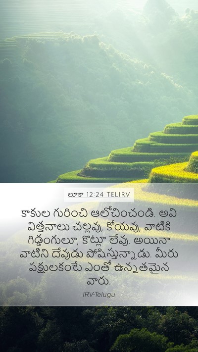 లూకా 12:24 TELIRV Bible Verse Image